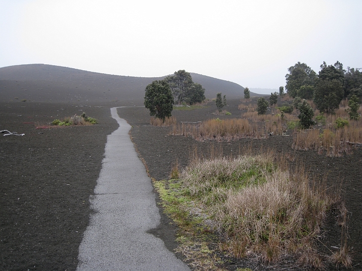 15 Devastation Trail.jpg